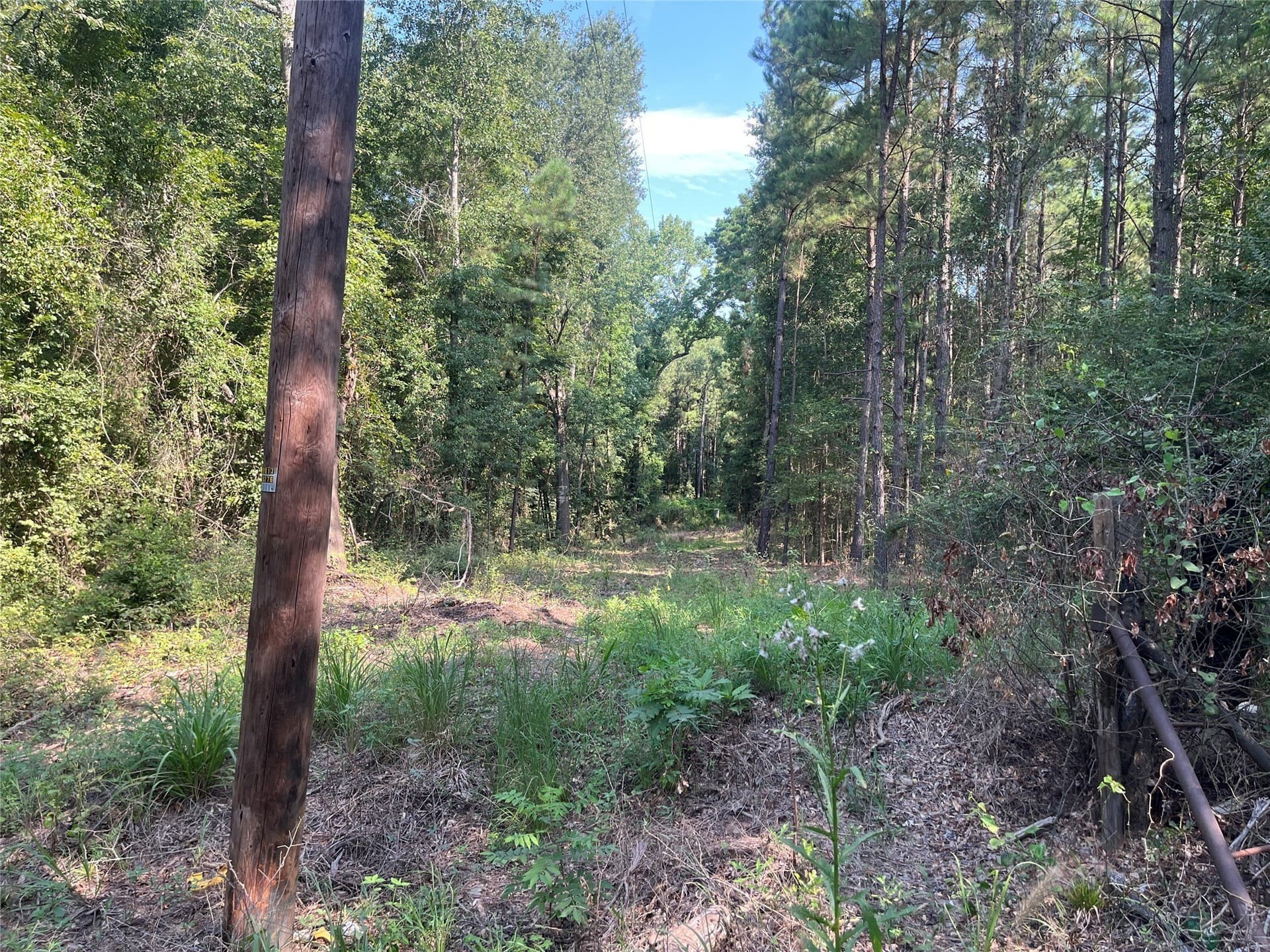 117.2 acres in Cherokee County gallery image 2