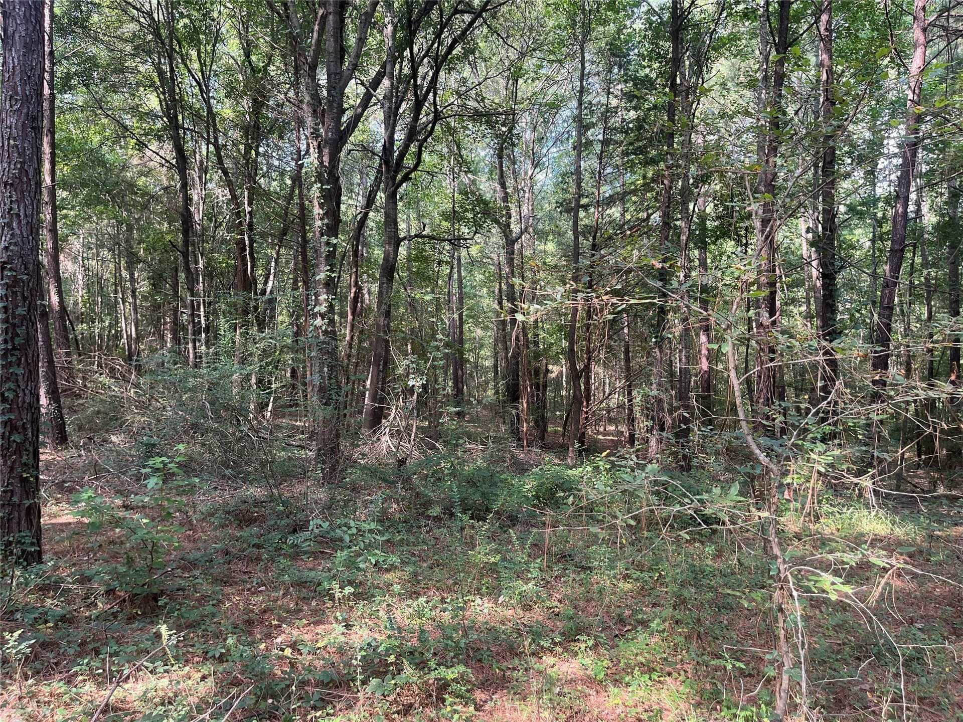 117.2 acres in Cherokee County - photo 18