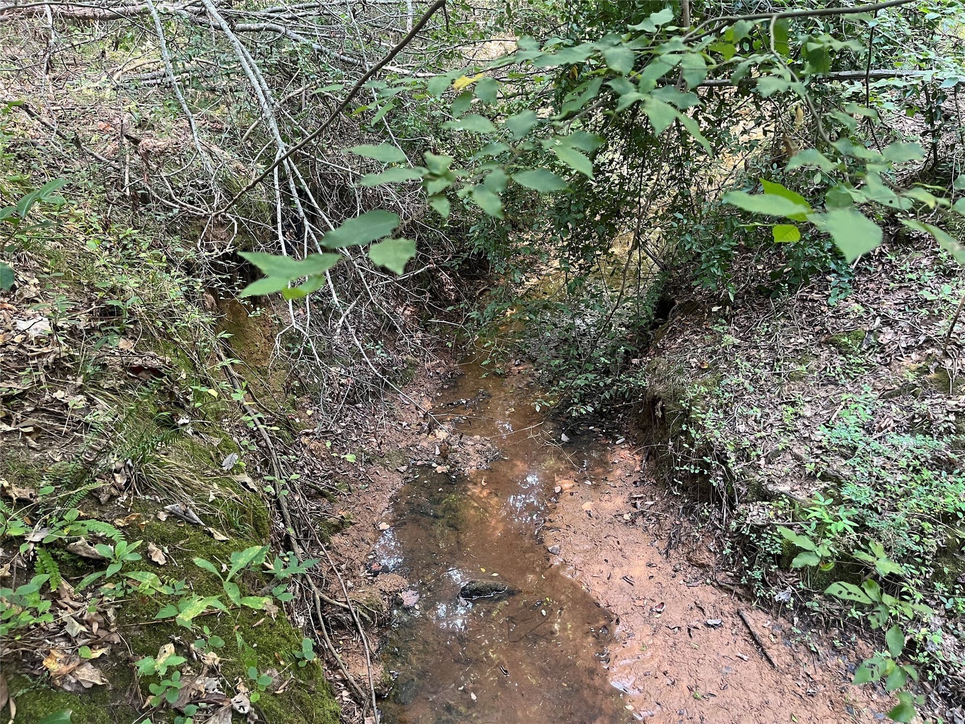 117.2 acres in Cherokee County - photo 20