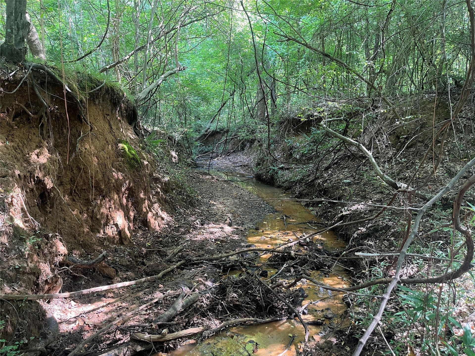 117.2 acres in Cherokee County - photo 27