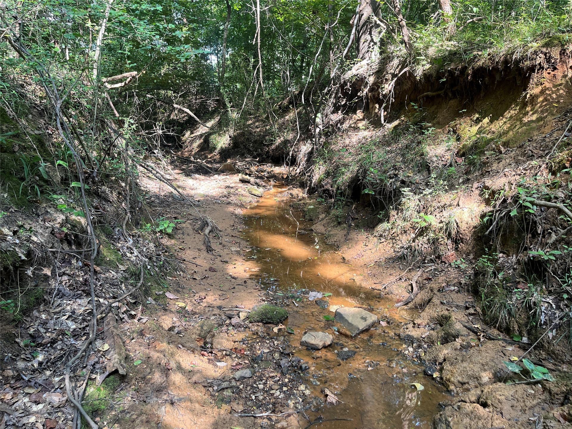 117.2 acres in Cherokee County - photo 23