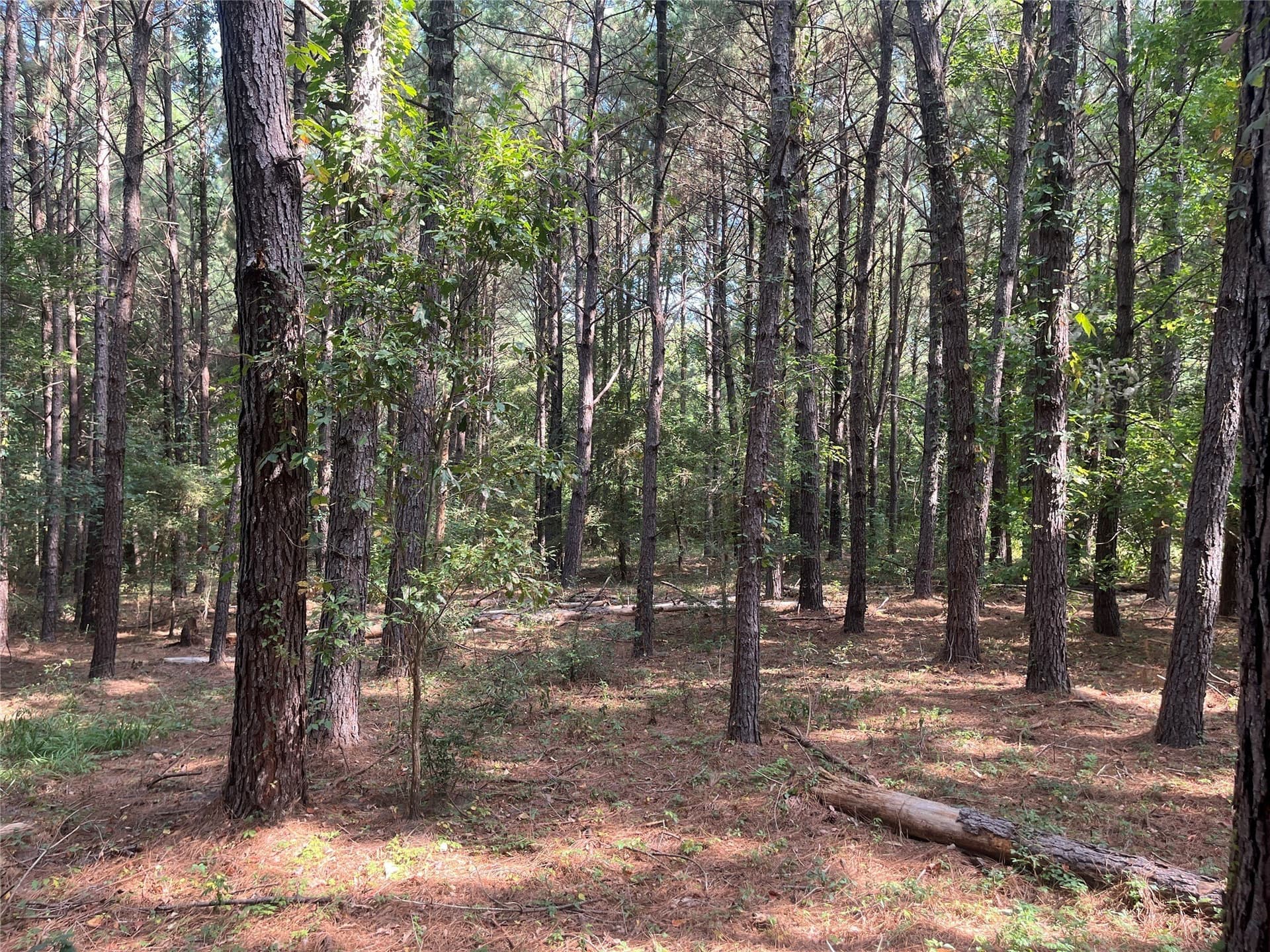 117.2 acres in Cherokee County - photo 16