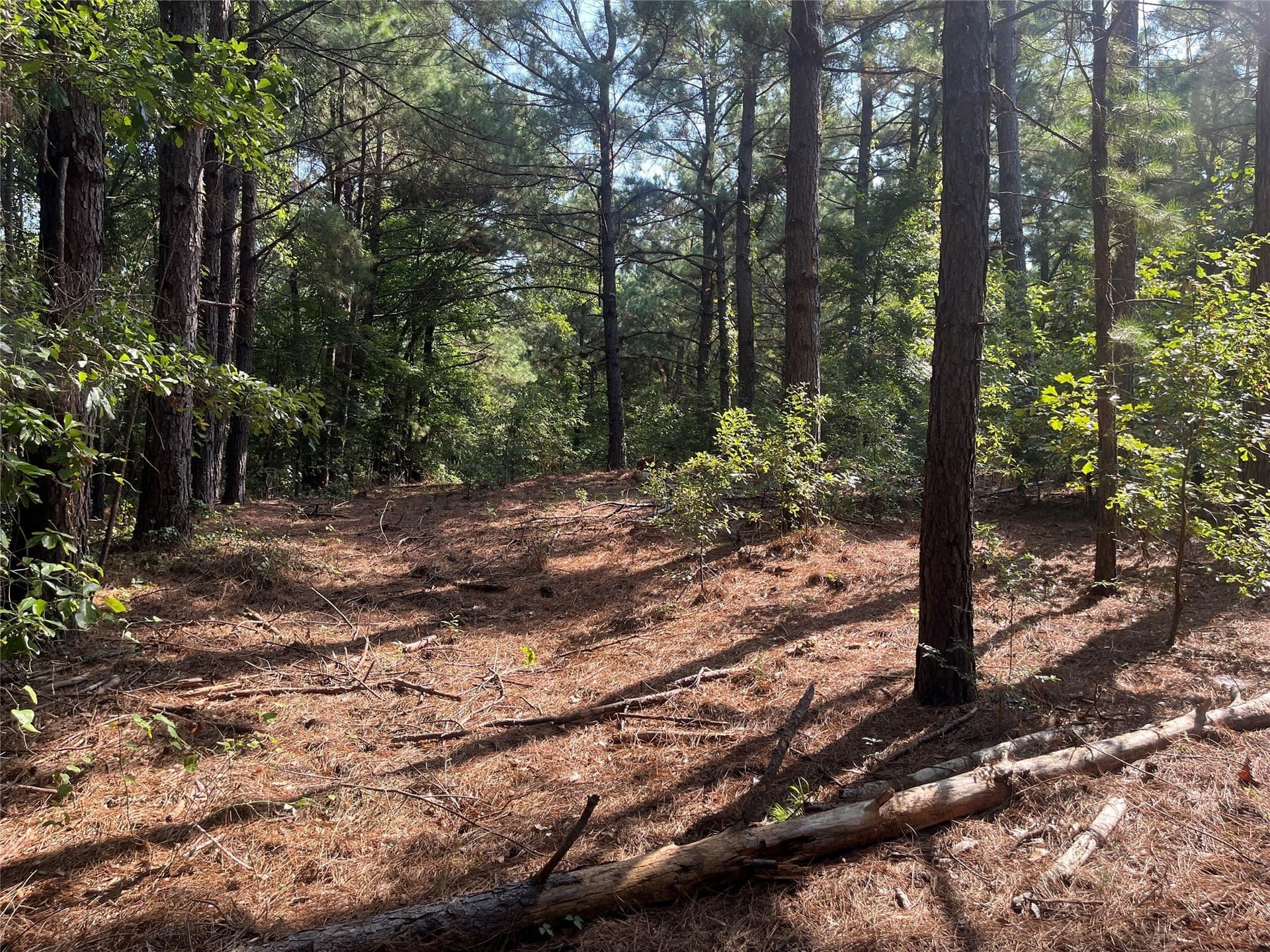 117.2 acres in Cherokee County - photo 8