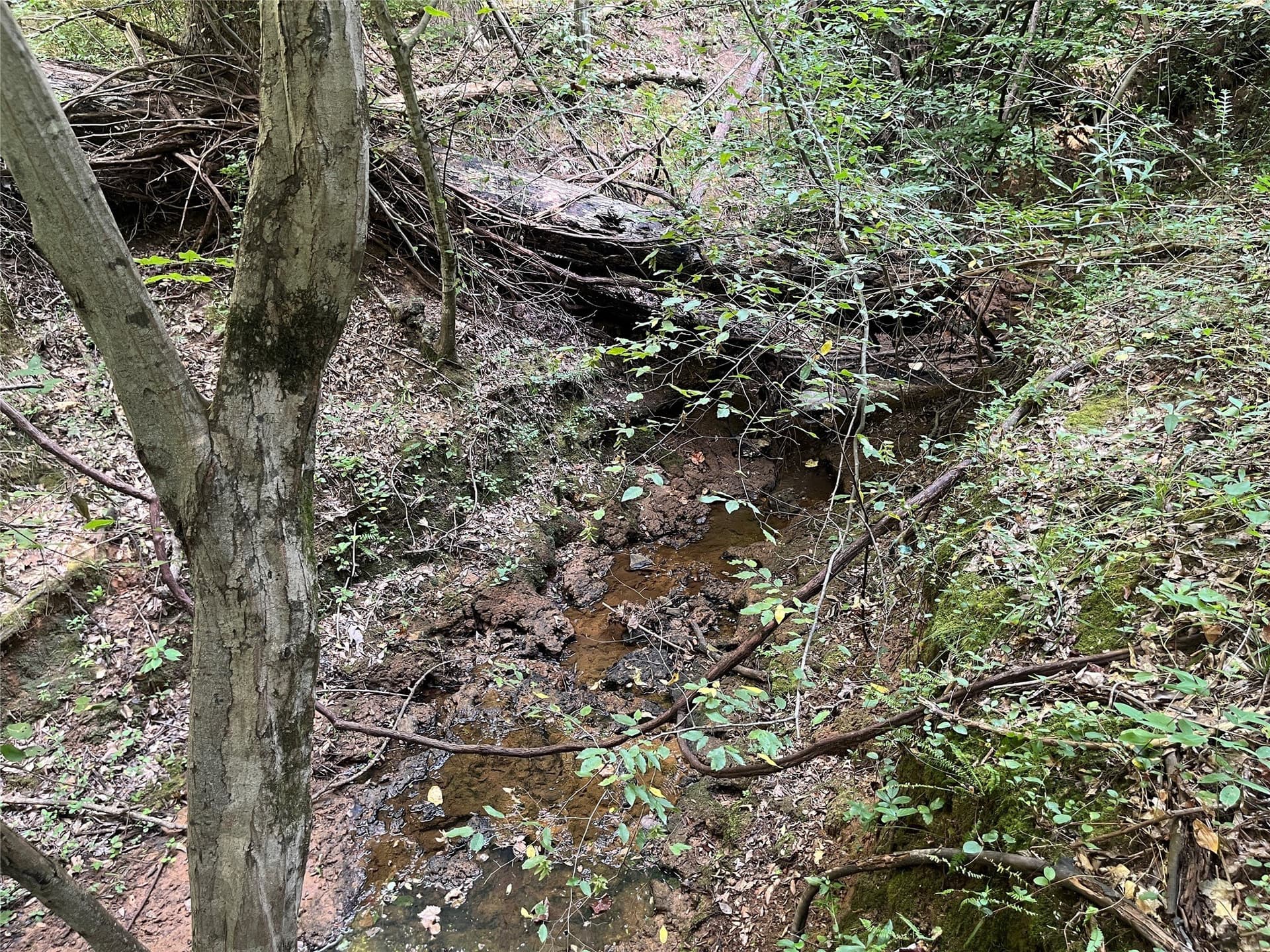 117.2 acres in Cherokee County - photo 19