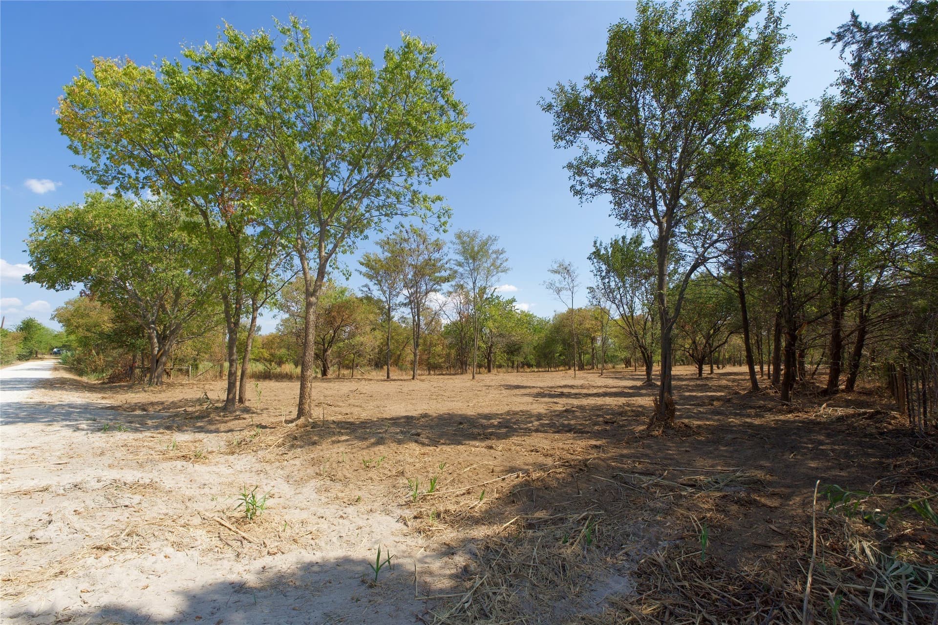 2 acres in Cooke County - photo 4