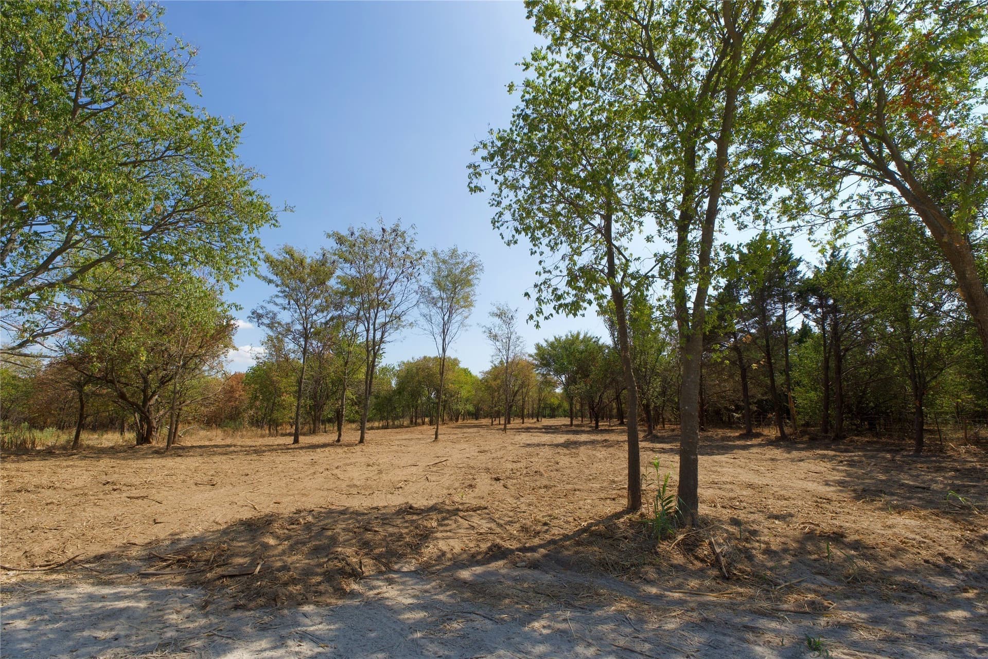 2 acres in Cooke County - photo 5