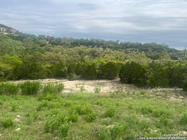 0.59 acres in Bexar County gallery image 2