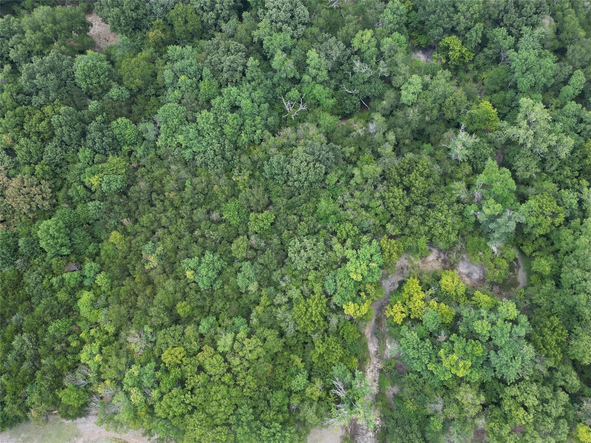 7.16 acres in Rockwall County - photo 6
