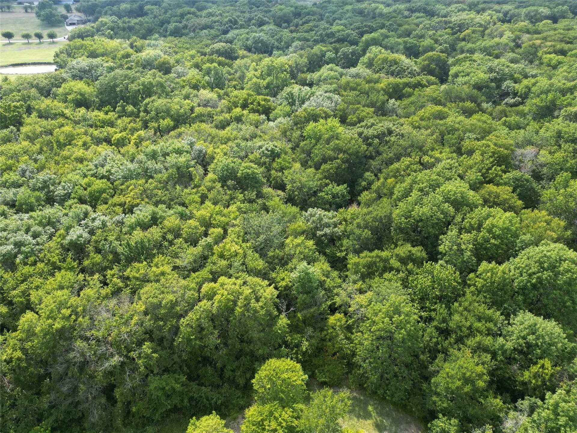 7.16 acres in Rockwall County - photo 19