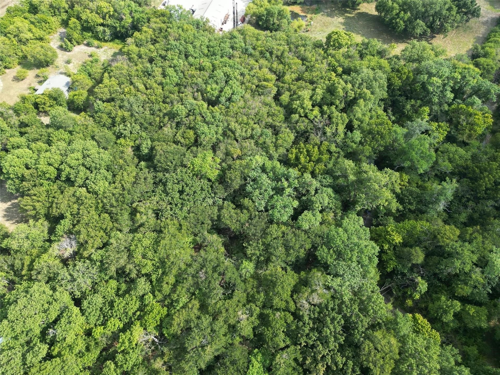 7.16 acres in Rockwall County - photo 15