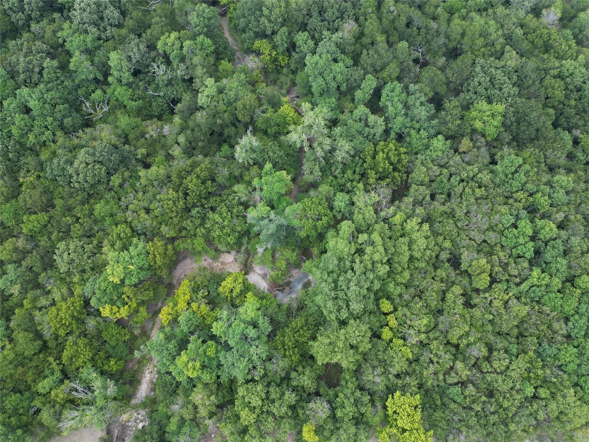 7.16 acres in Rockwall County featured view