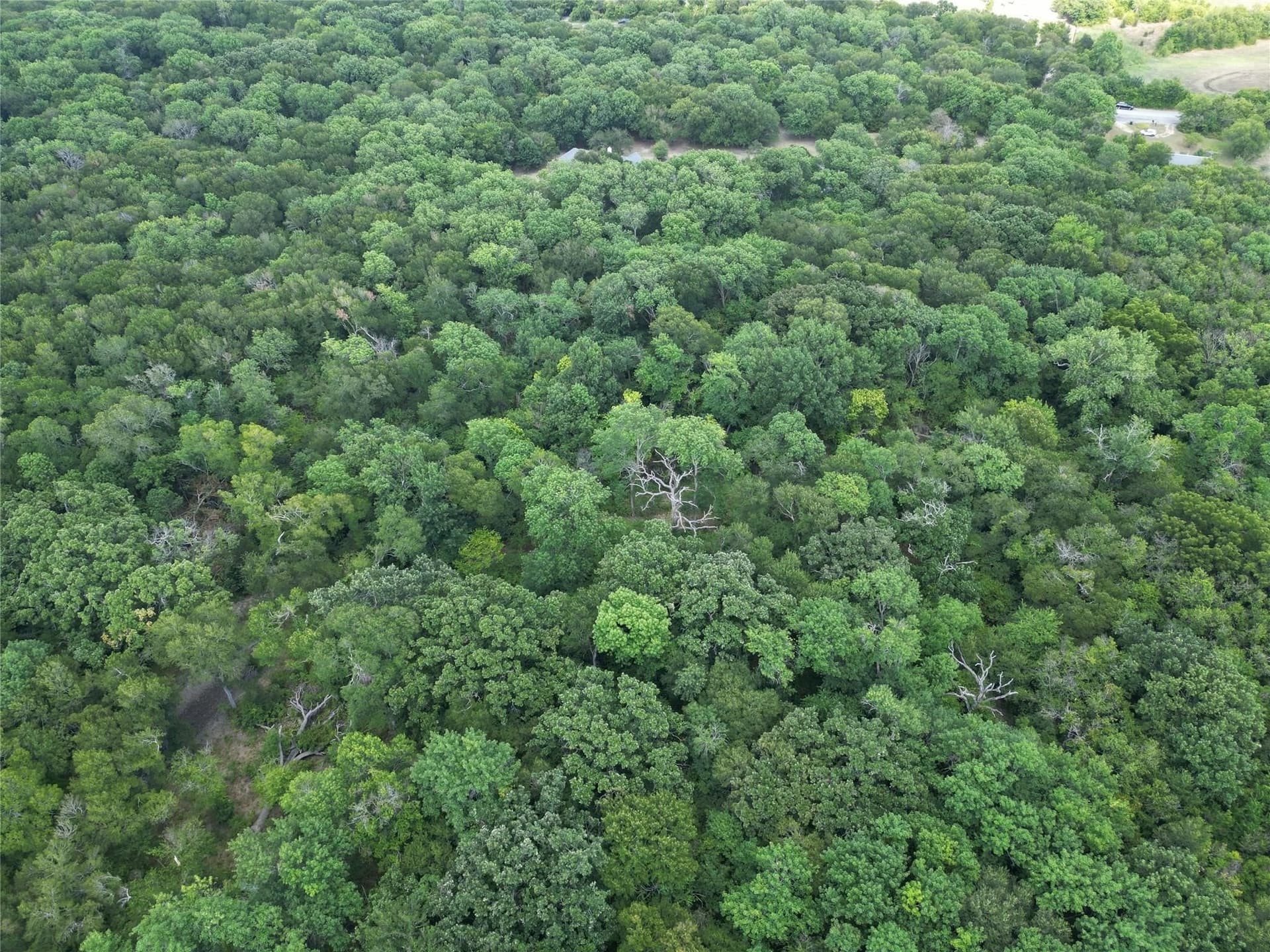 7.16 acres in Rockwall County - photo 8