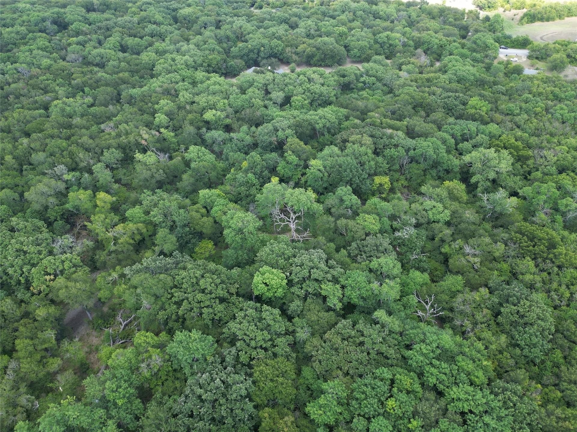 7.16 acres in Rockwall County - photo 7