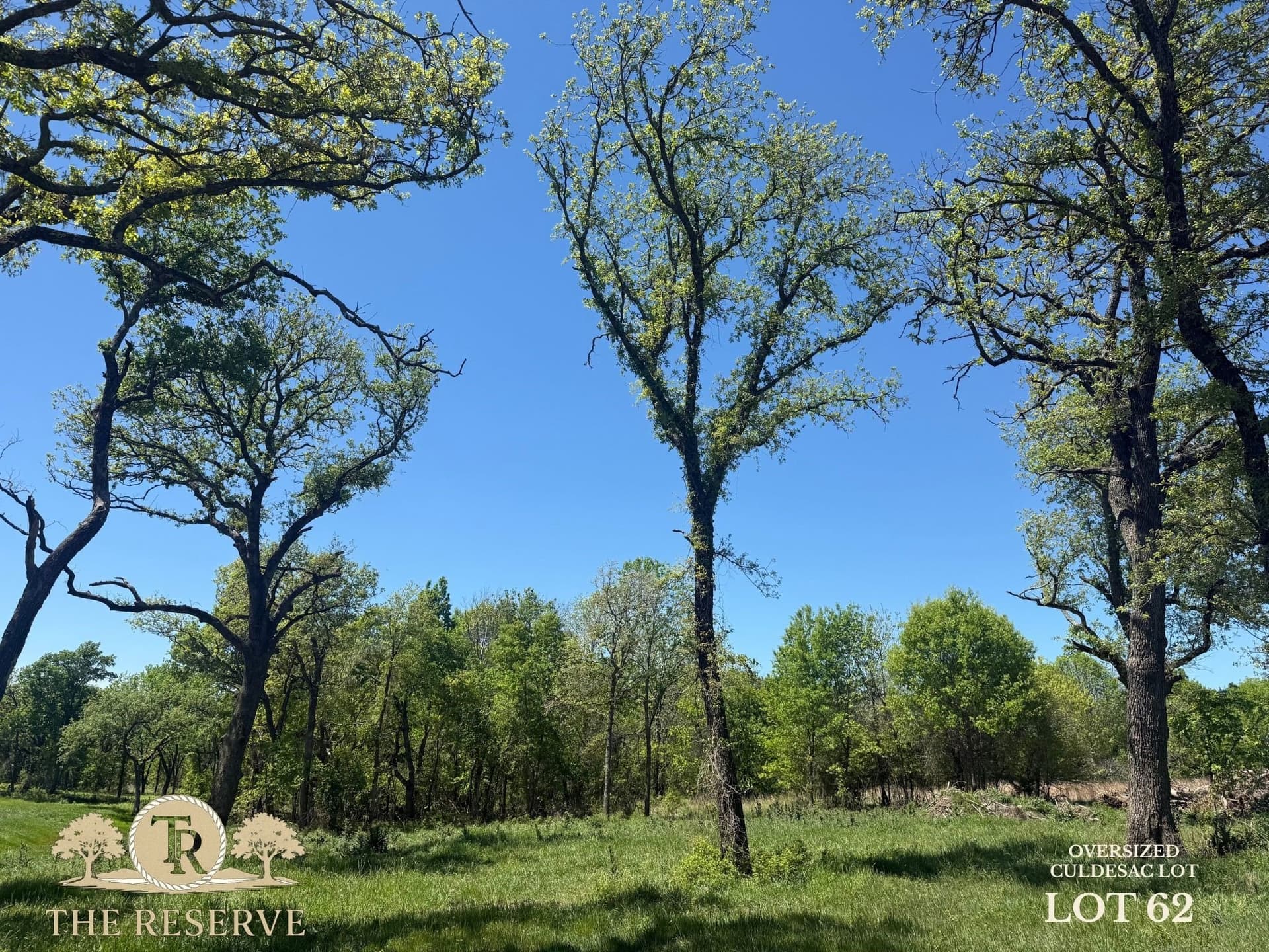 3.83 acres in Parker County gallery image 4