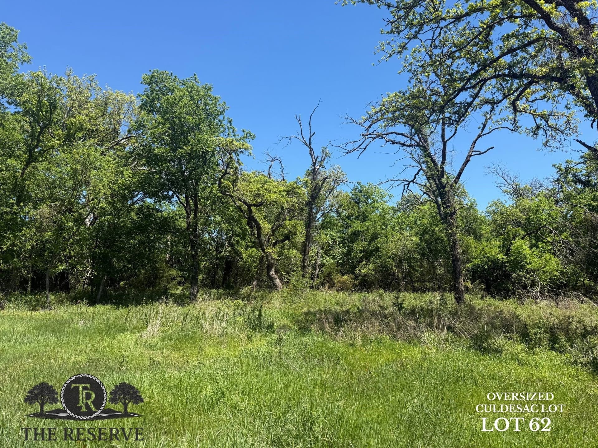 3.83 acres in Parker County gallery image 3