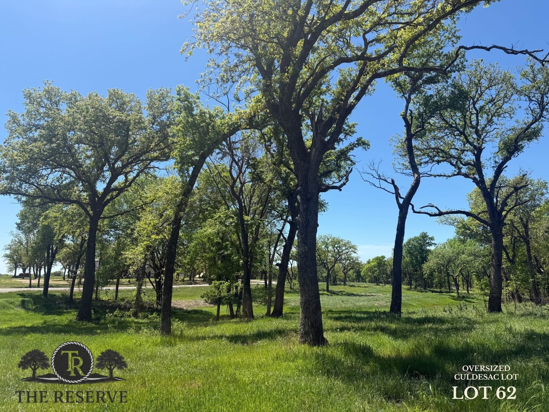 3.83 acres in Parker County gallery image 2