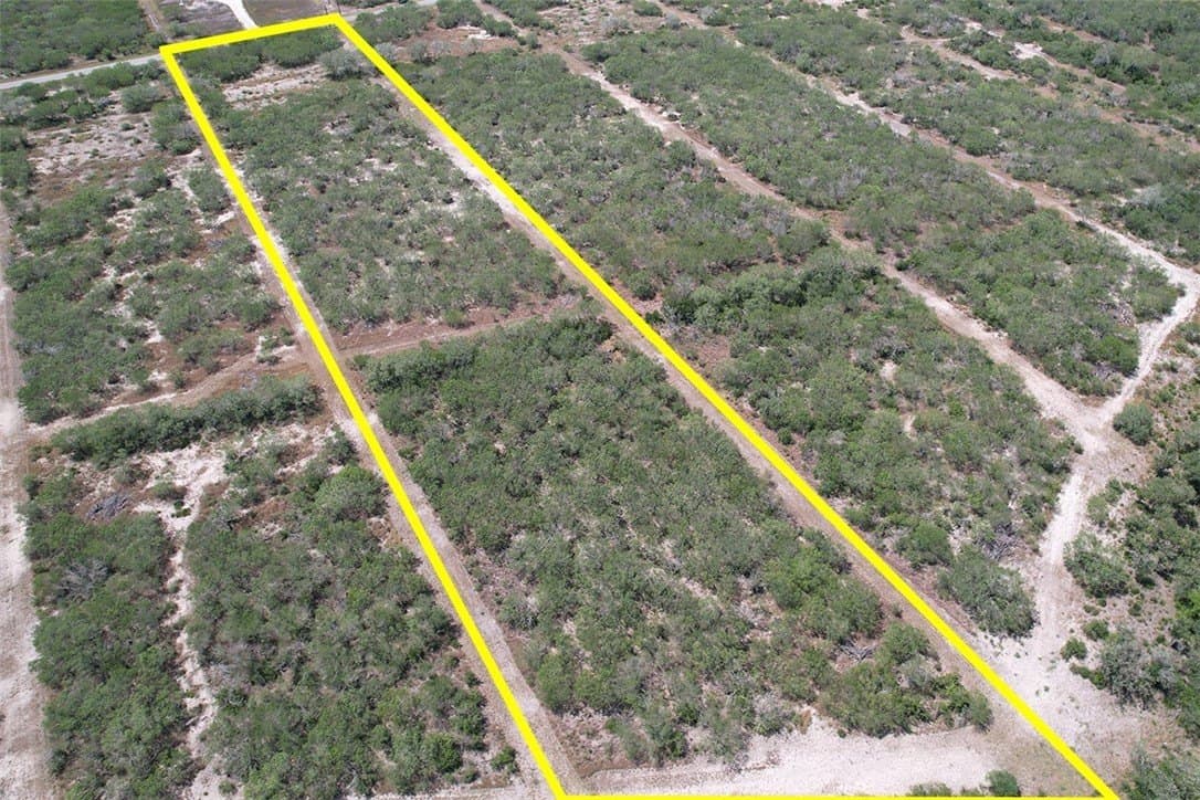 6.31 acres in Jim Wells County gallery image 3