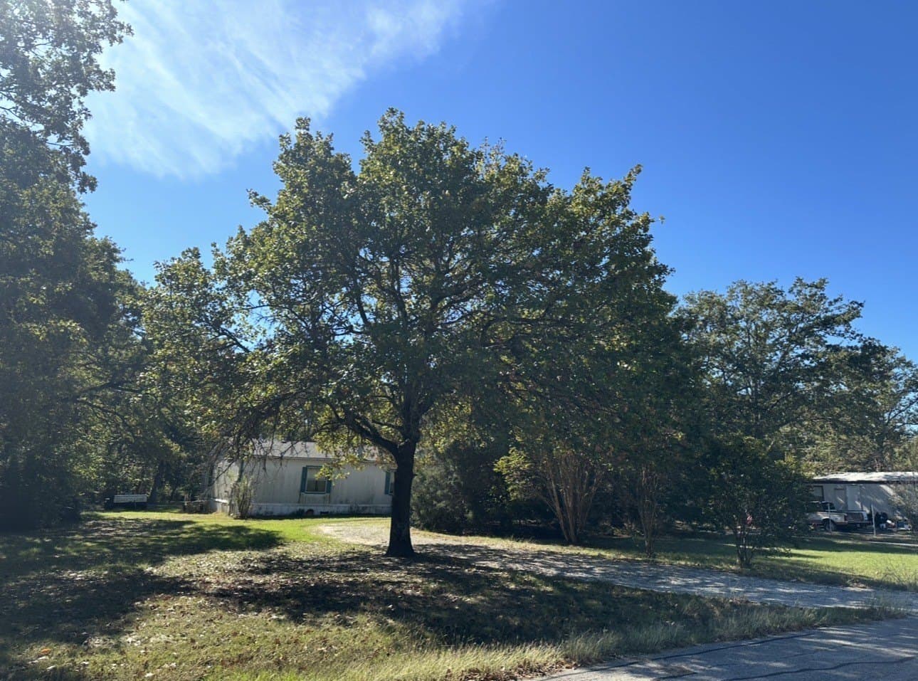 0.38 acres in Henderson County - photo 5