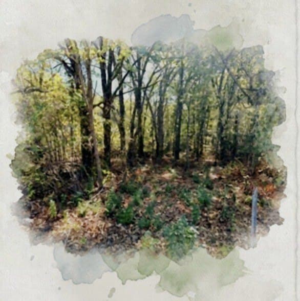 0.38 acres in Henderson County