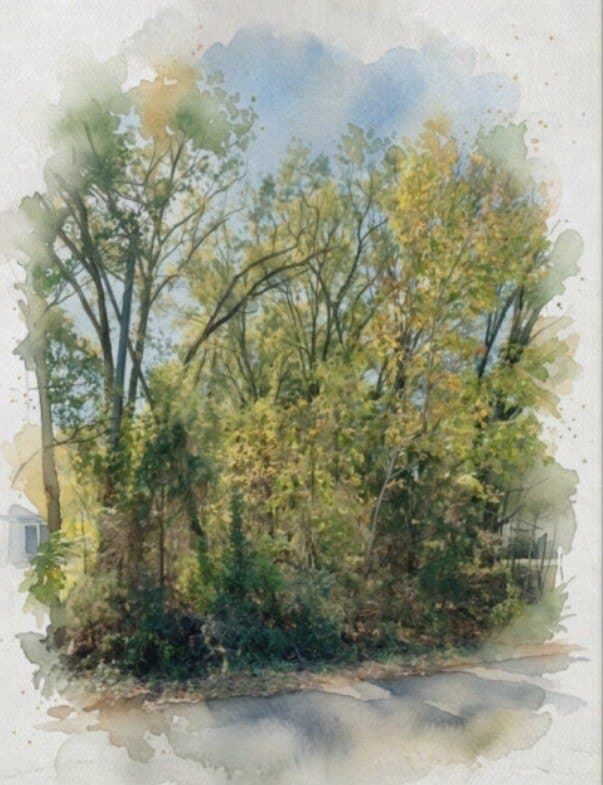 0.38 acres in Henderson County - photo 2