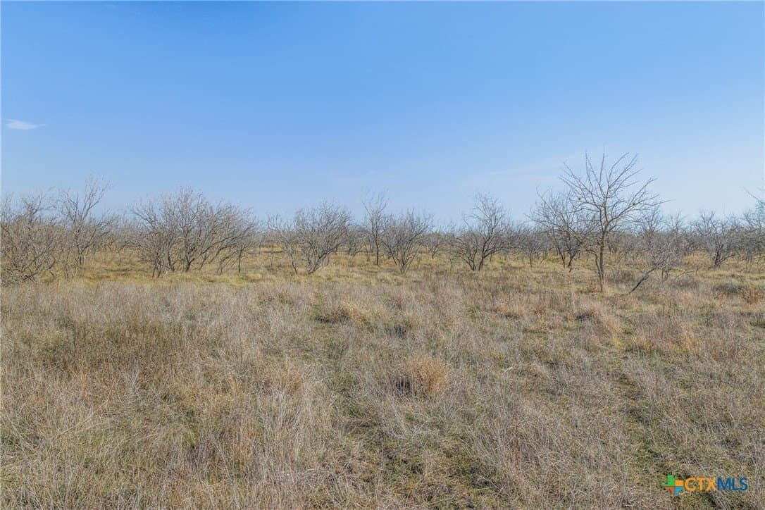 83.23 acres in Hays County - photo 43