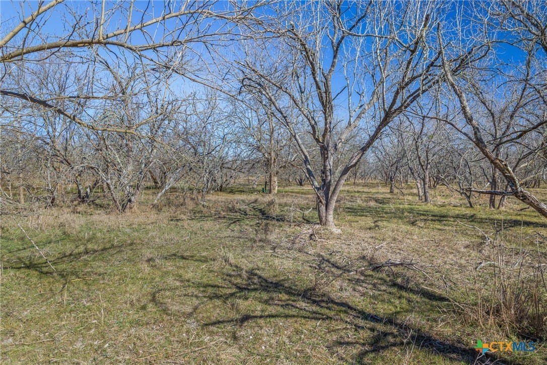 83.23 acres in Hays County - photo 41