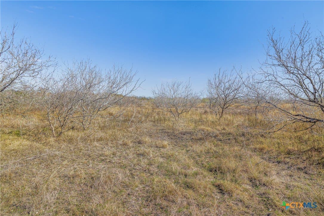 83.23 acres in Hays County - photo 46