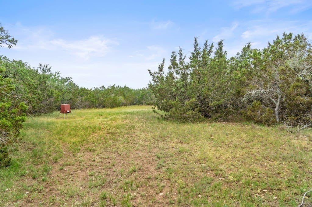 40 acres in Gillespie County gallery image 4