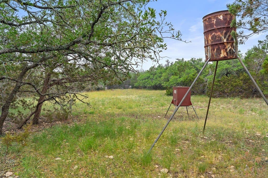 40 acres in Gillespie County gallery image 2