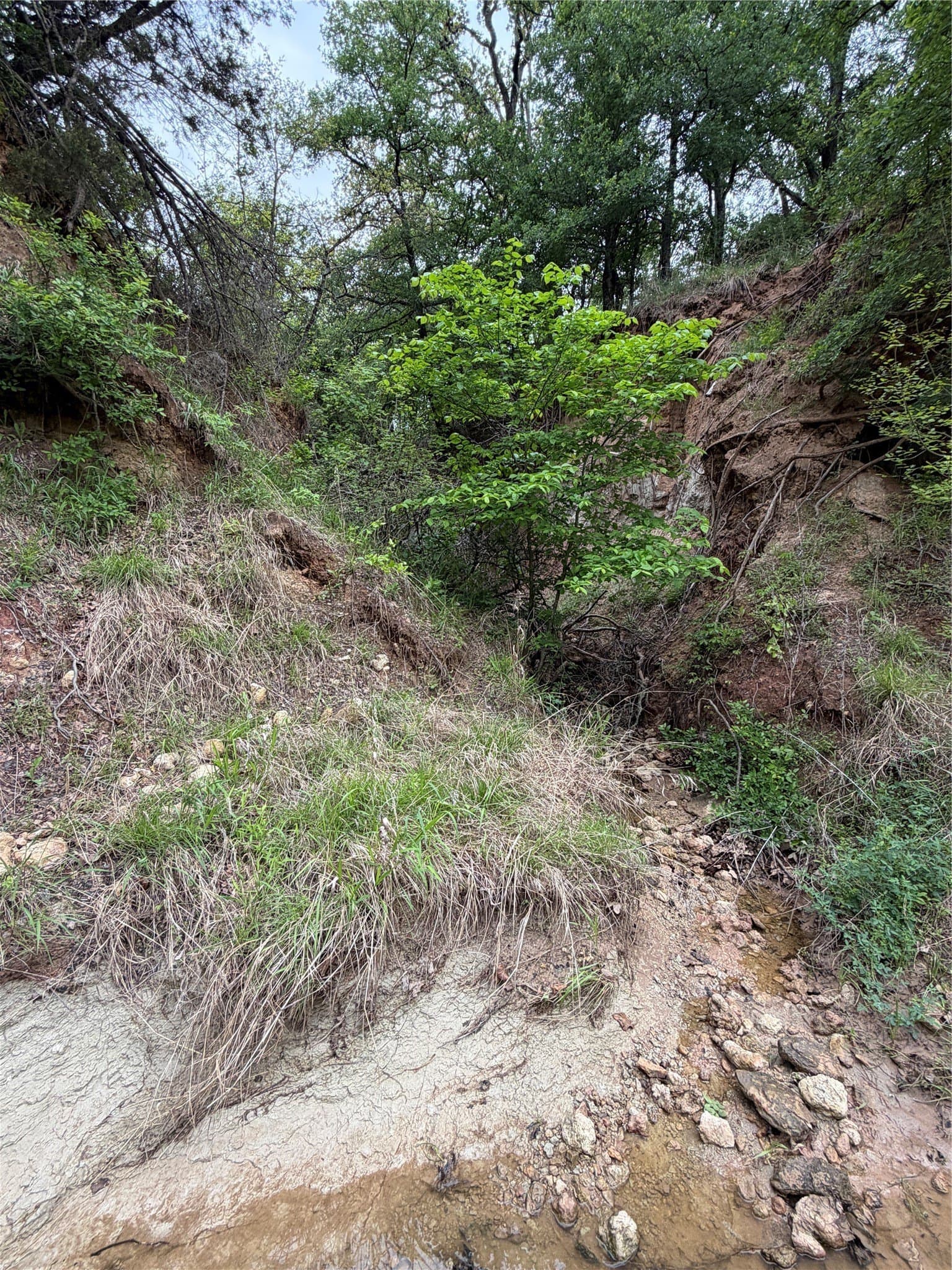 18.65 acres in Parker County - photo 25