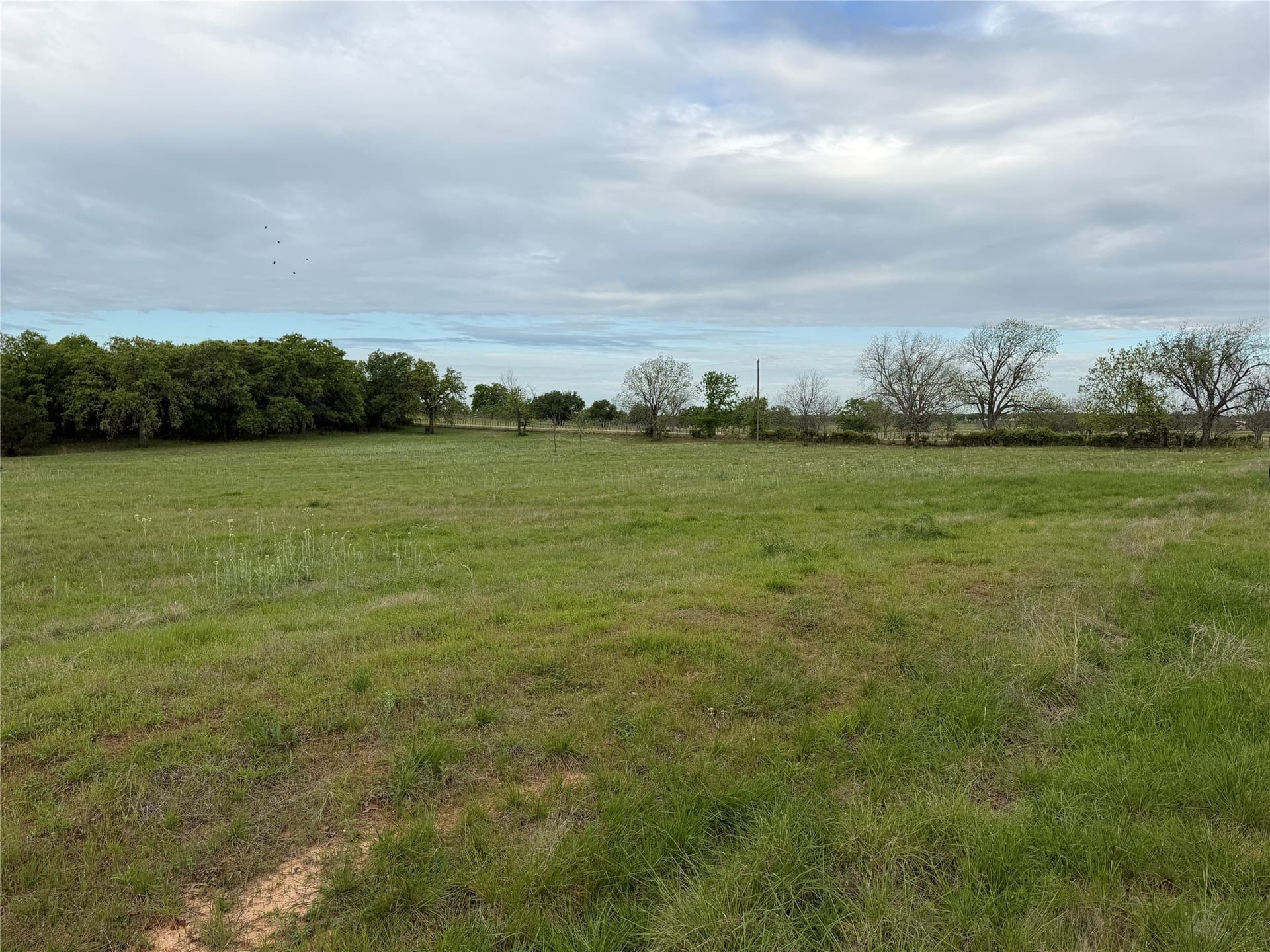 18.65 acres in Parker County - photo 18