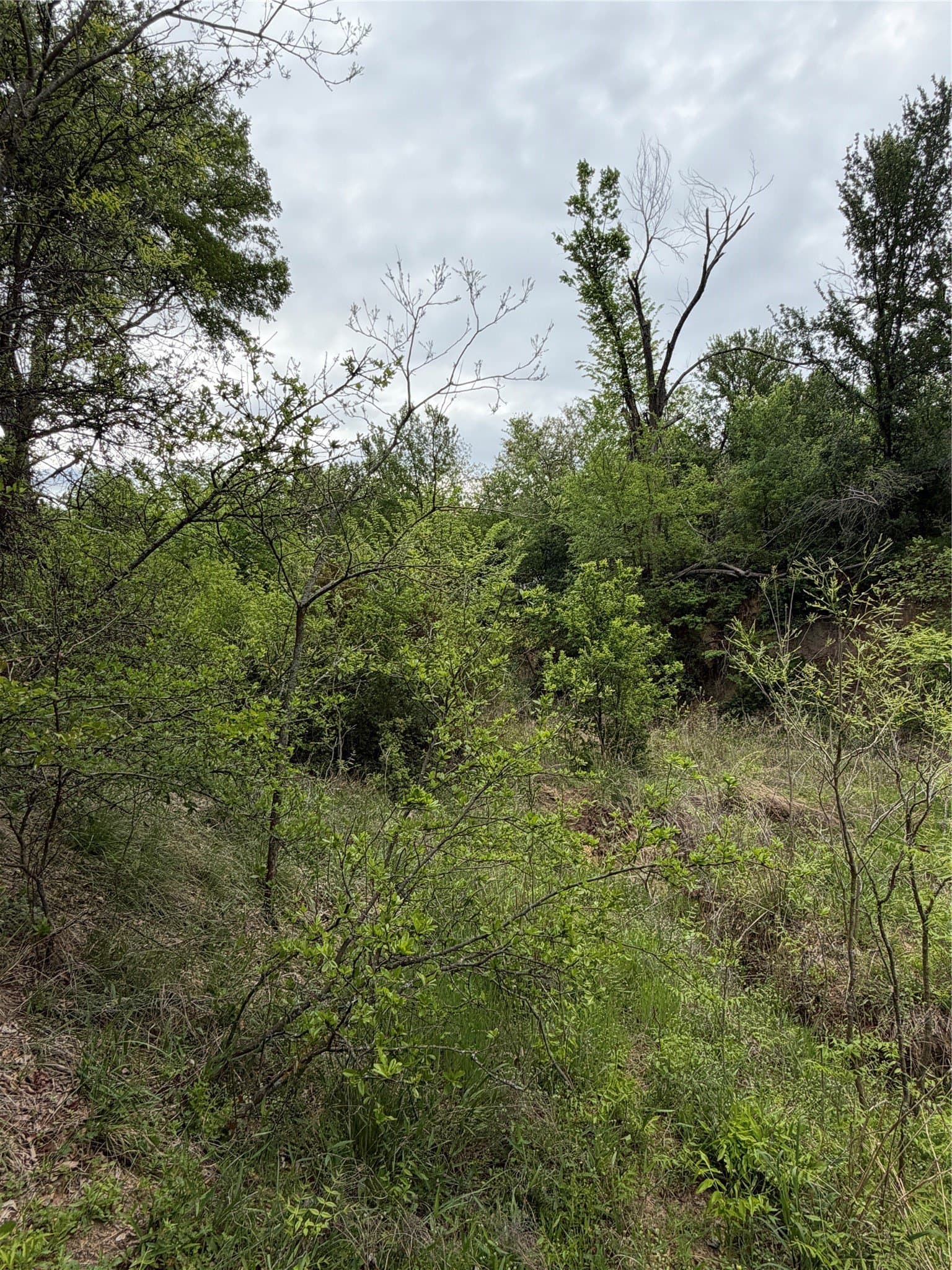 18.65 acres in Parker County - photo 28