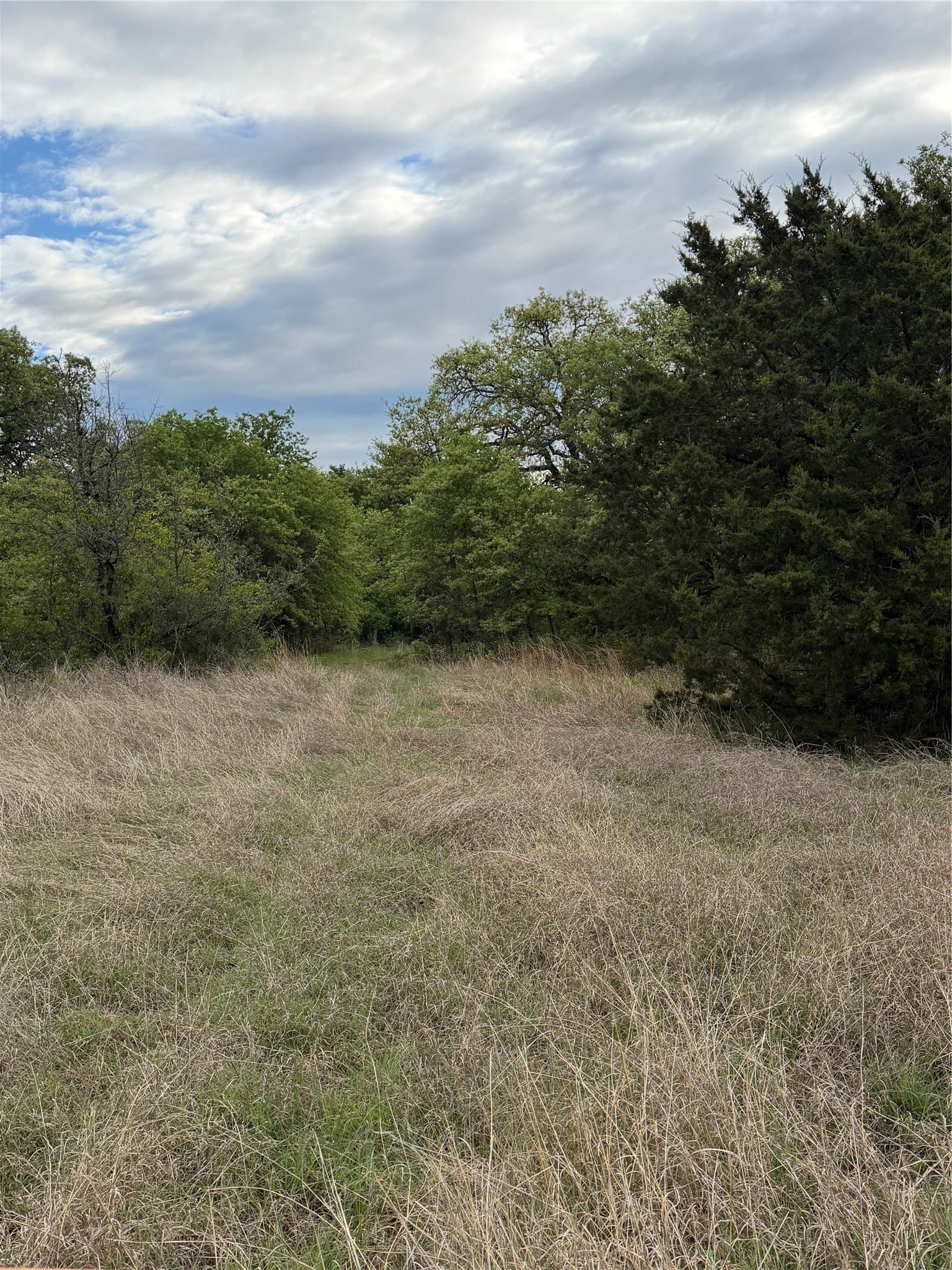 18.65 acres in Parker County - photo 22