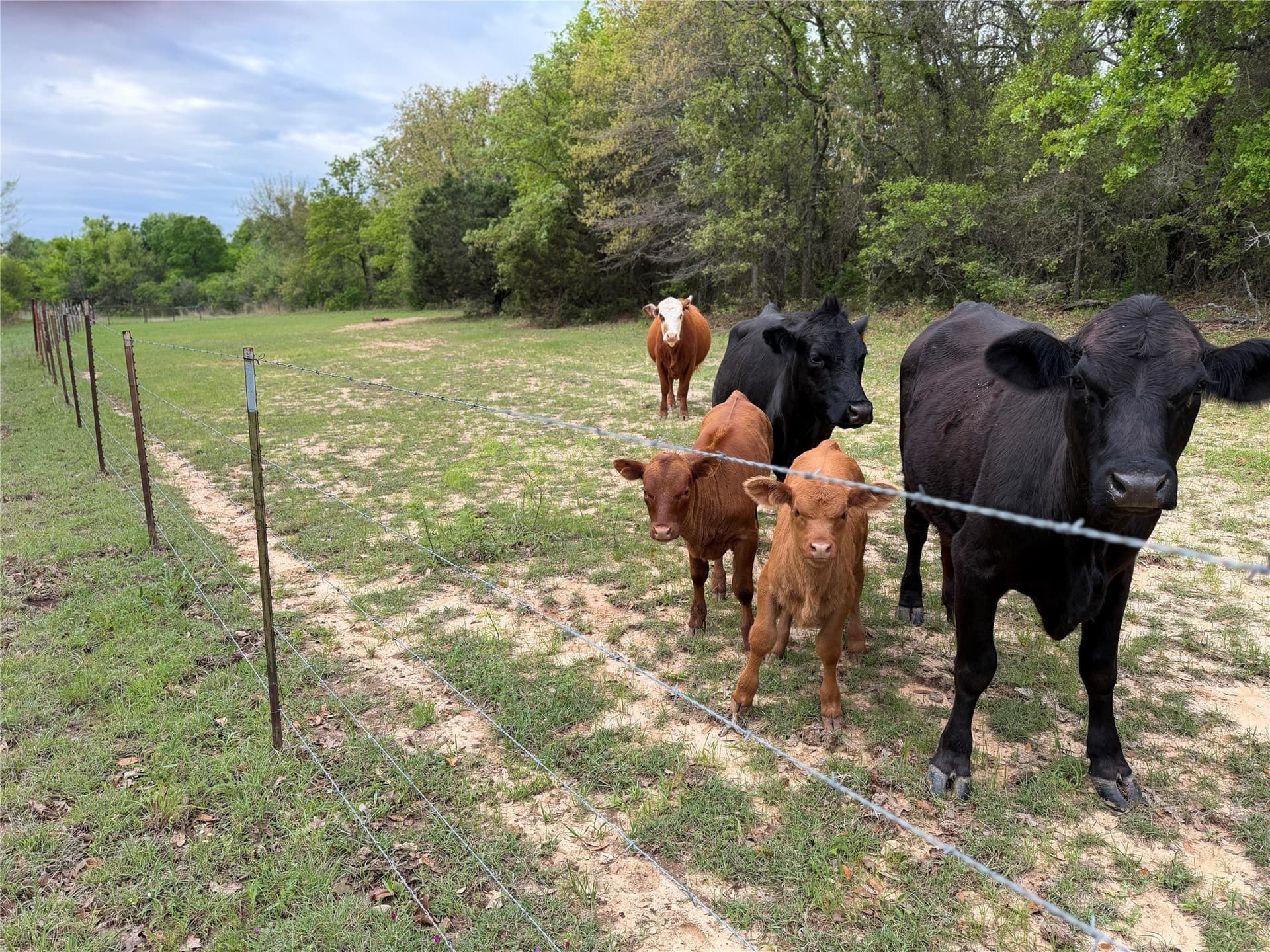 18.65 acres in Parker County - photo 13