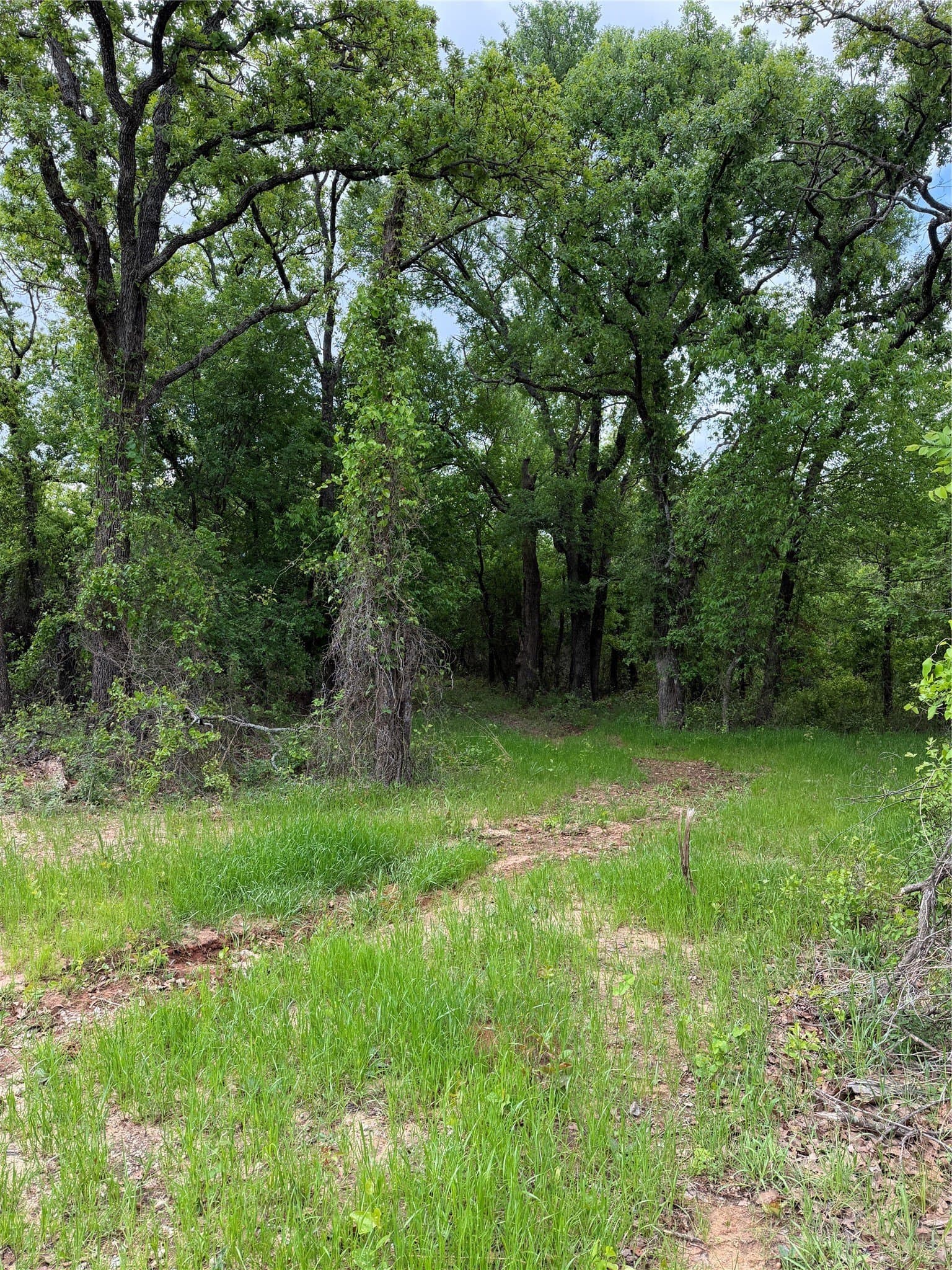 18.65 acres in Parker County - photo 20