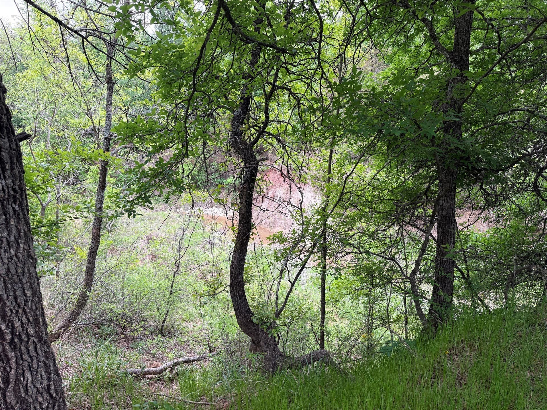 18.65 acres in Parker County - photo 11