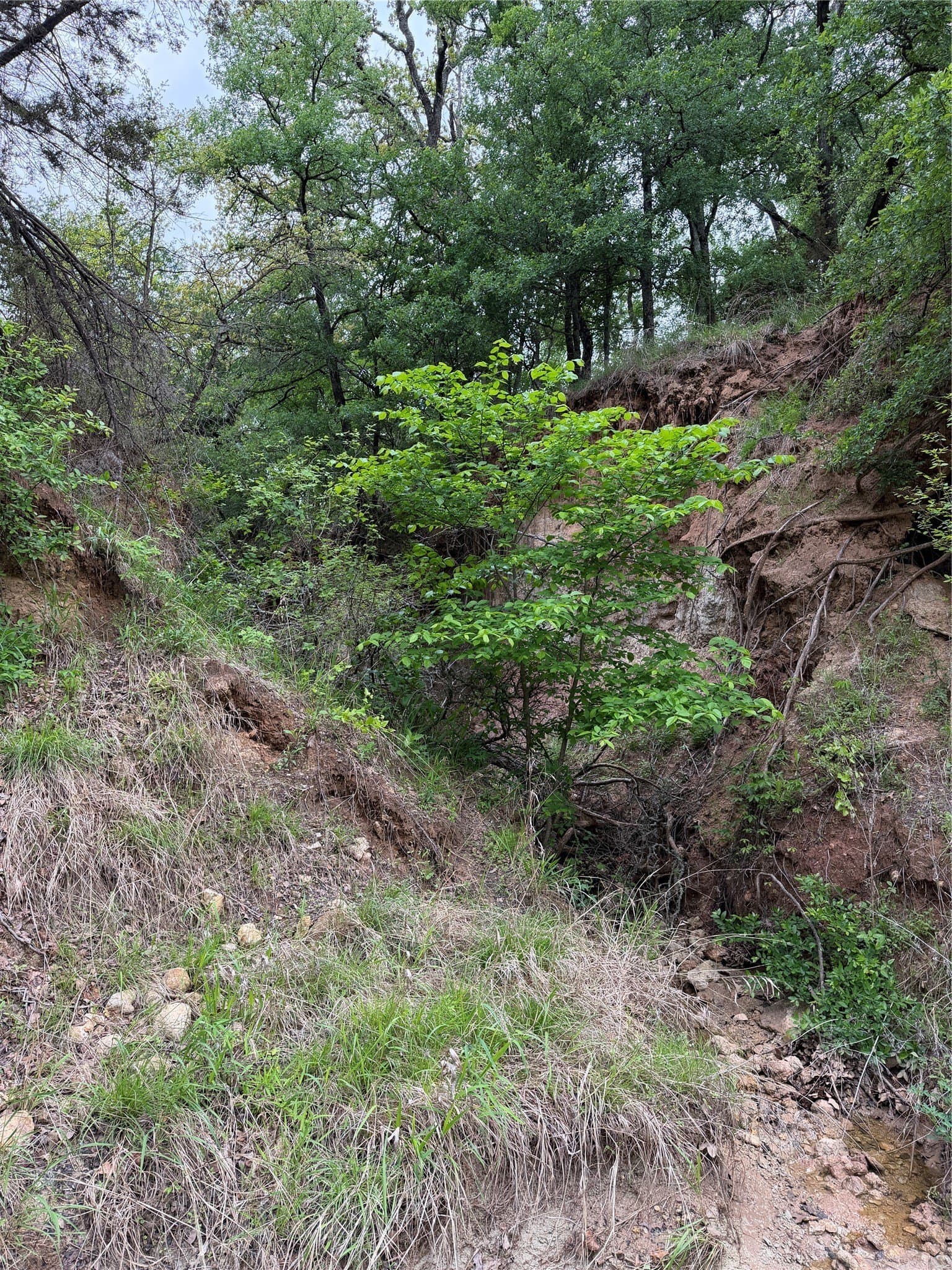 18.65 acres in Parker County - photo 23