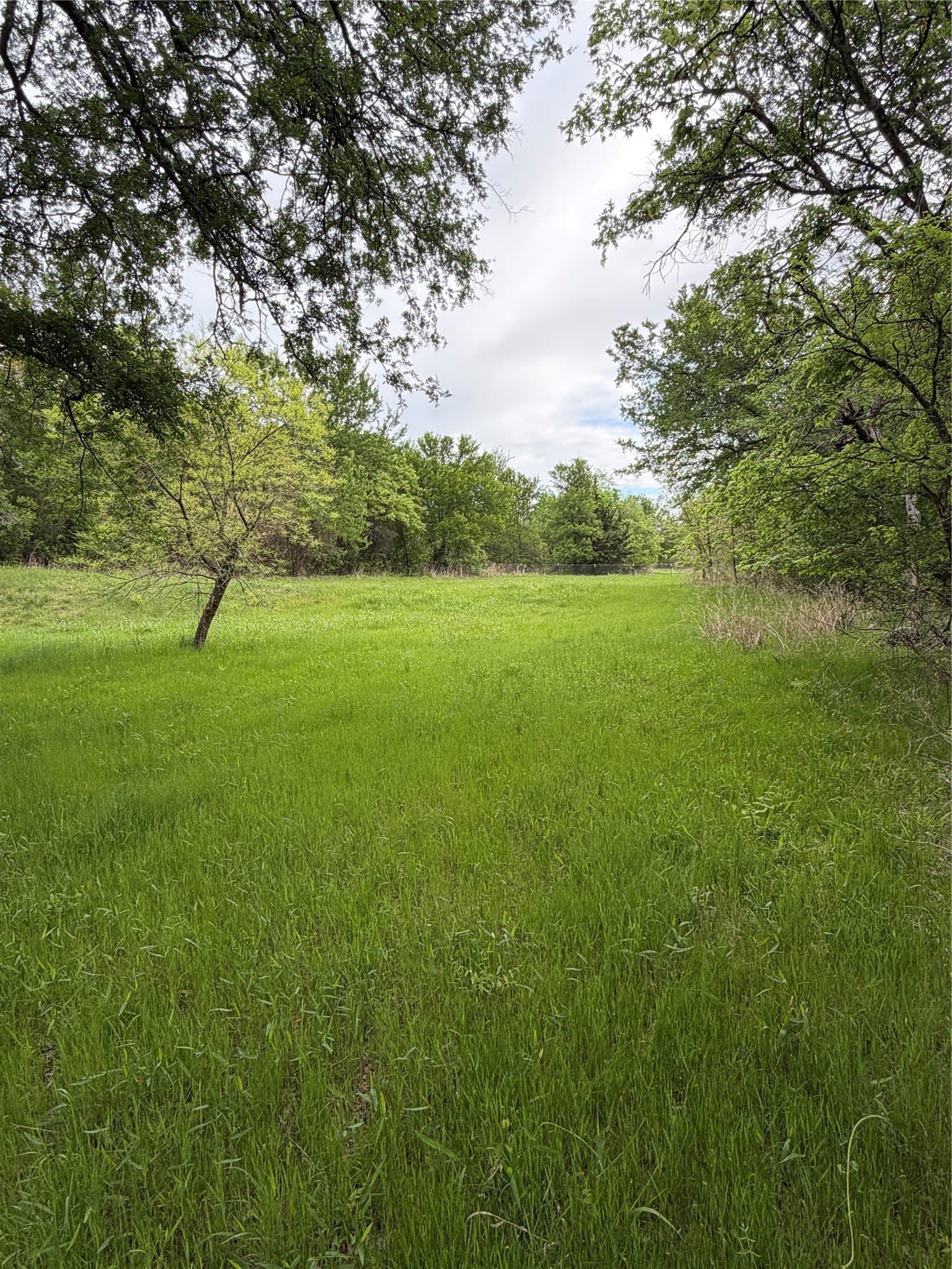 18.65 acres in Parker County - photo 21