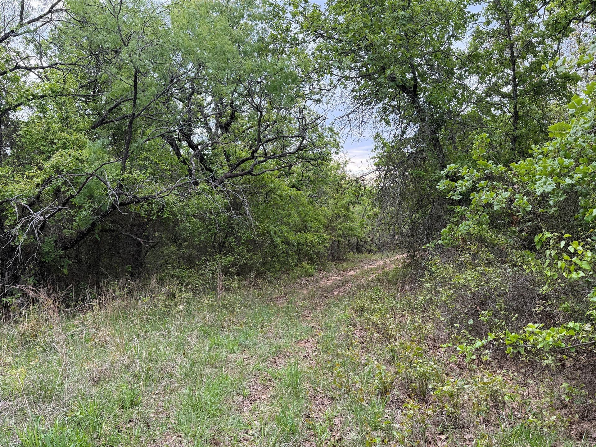 18.65 acres in Parker County - photo 8