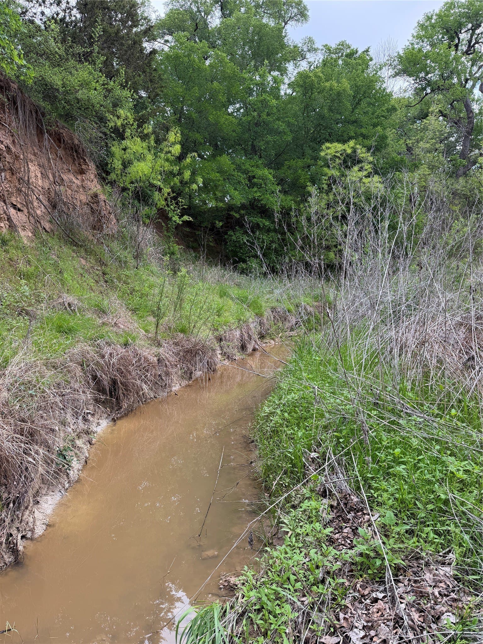 18.65 acres in Parker County - photo 24