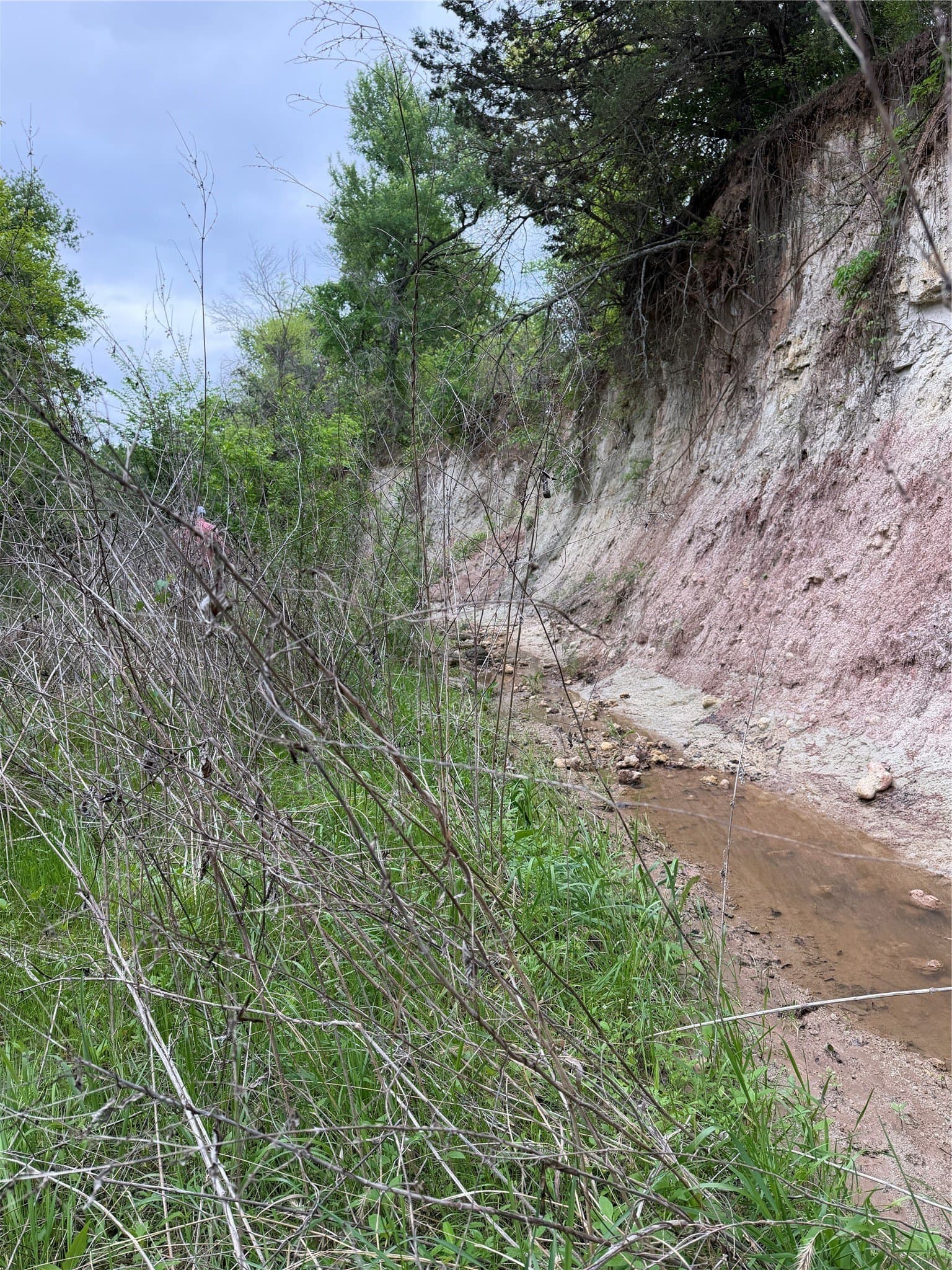 18.65 acres in Parker County - photo 26