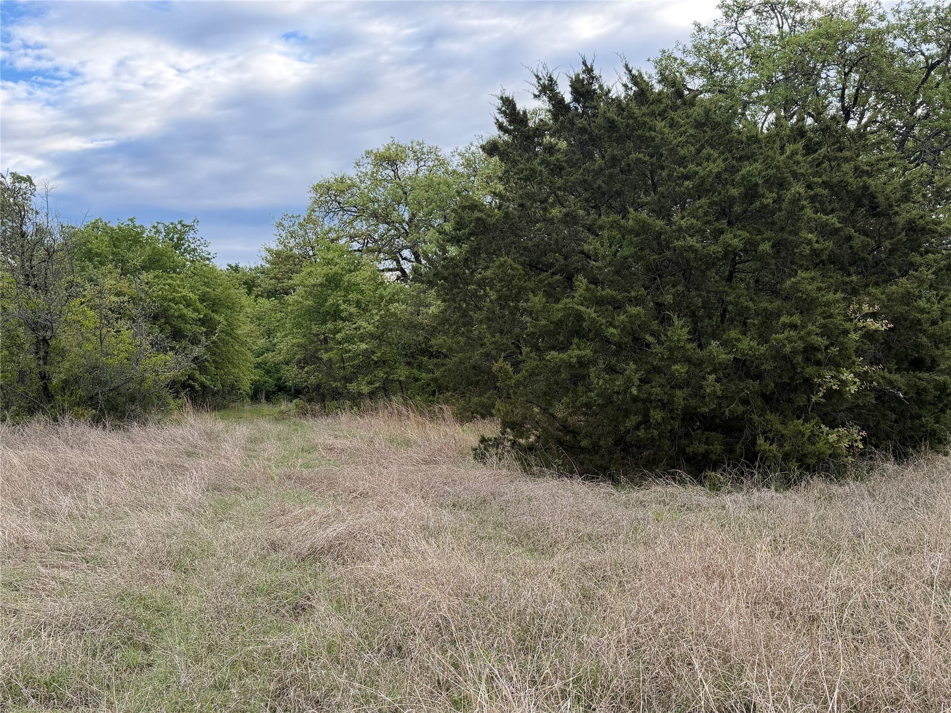 18.65 acres in Parker County - photo 7