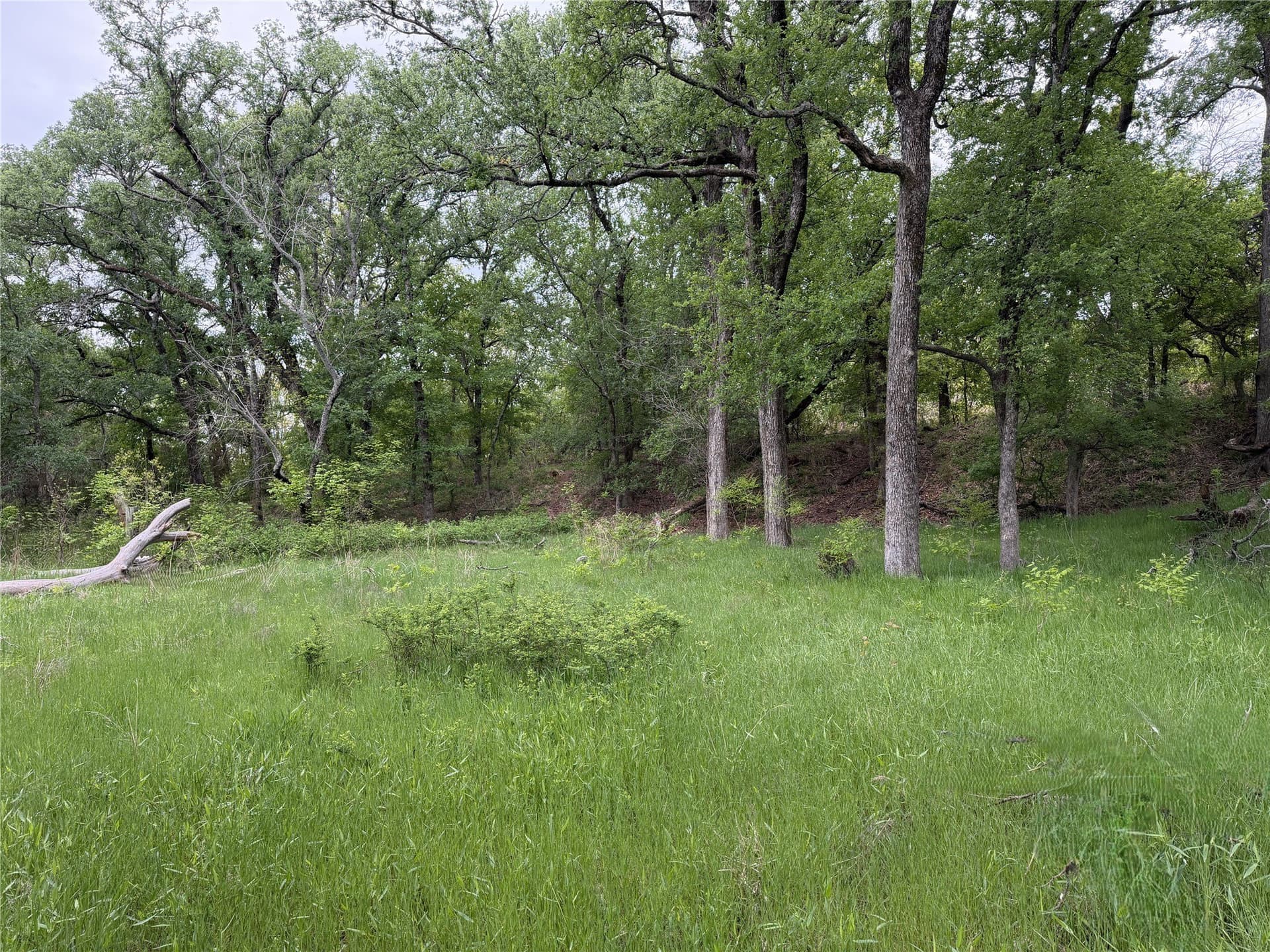 18.65 acres in Parker County - photo 3