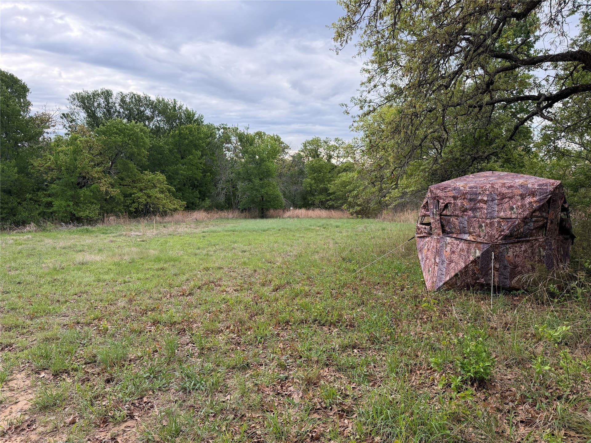 18.65 acres in Parker County - photo 9