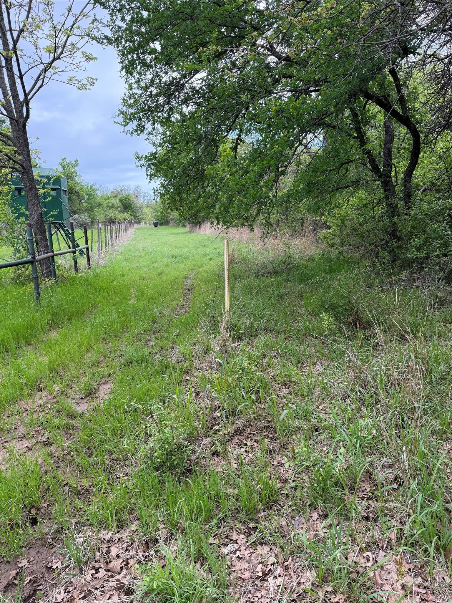 18.65 acres in Parker County - photo 29