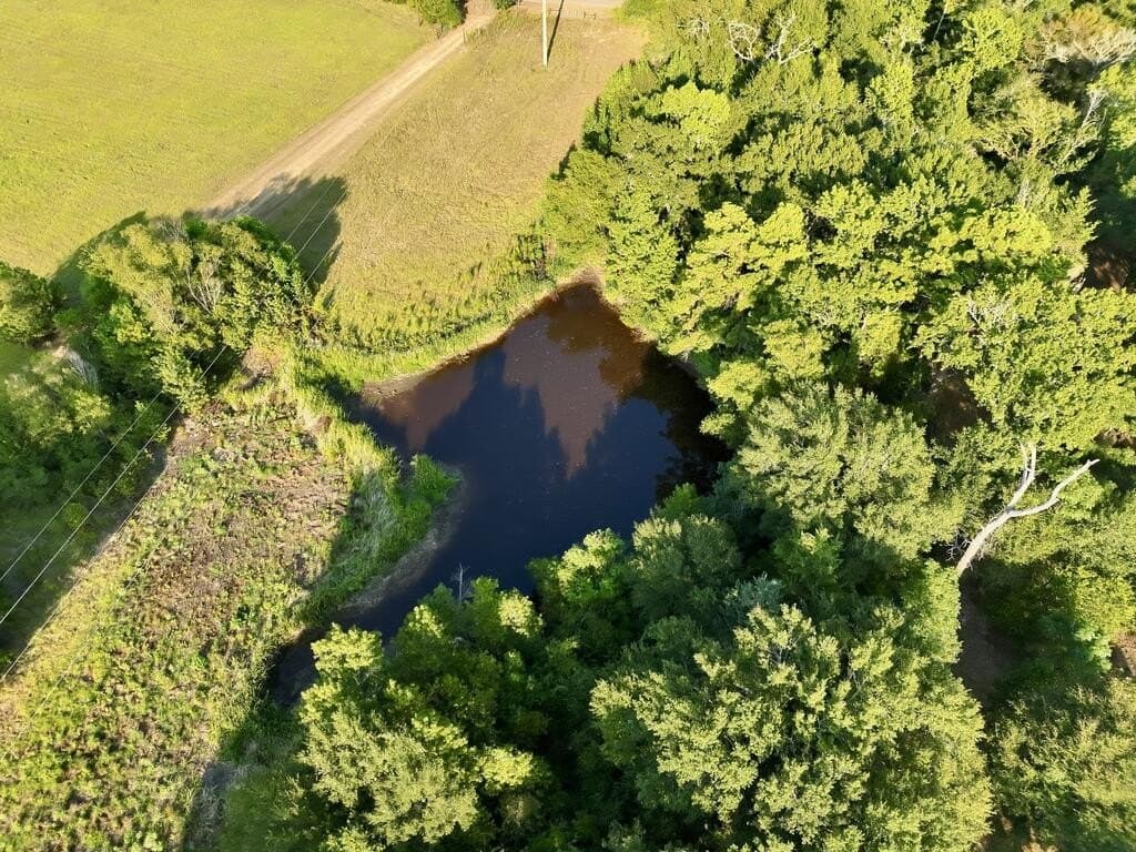 38.32 acres in ANDERSON County - photo 2
