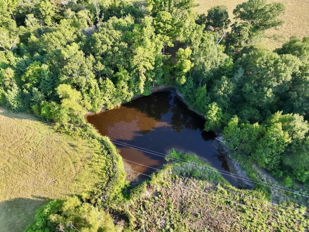 38.32 acres in ANDERSON County - photo 3