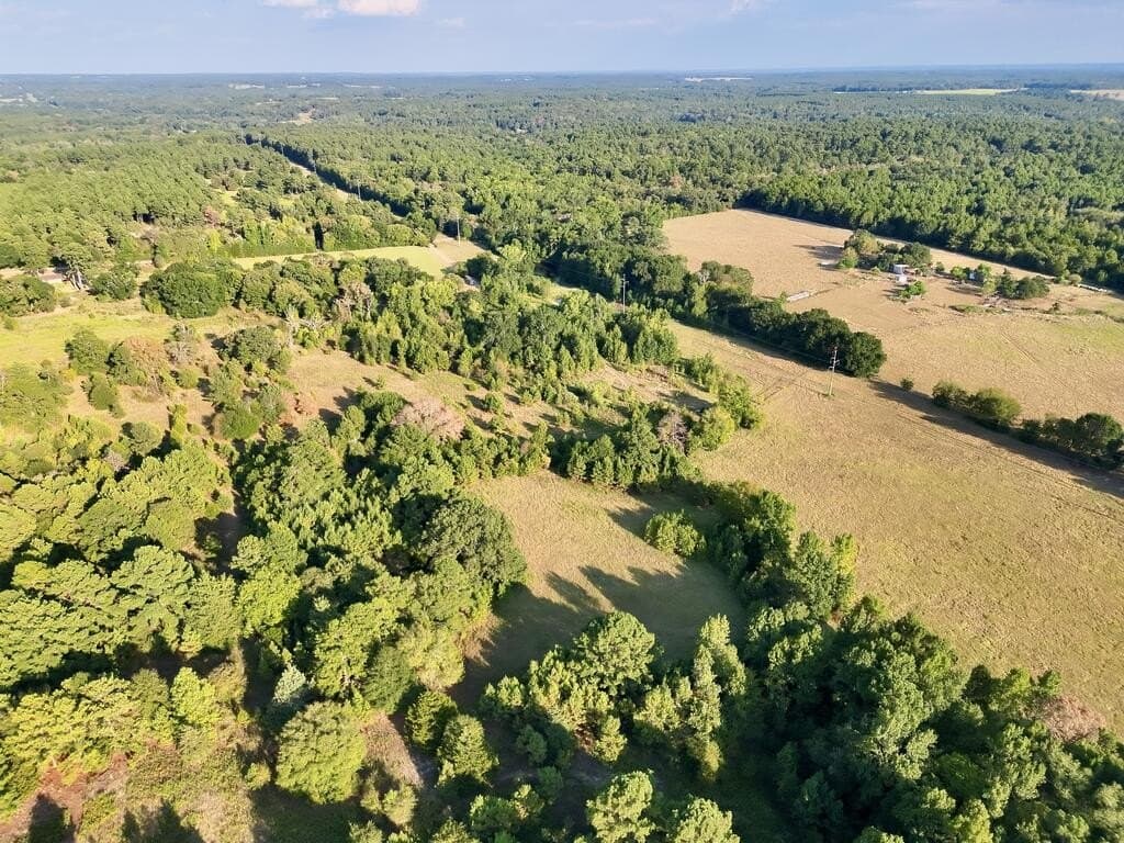 38.32 acres in ANDERSON County - photo 6