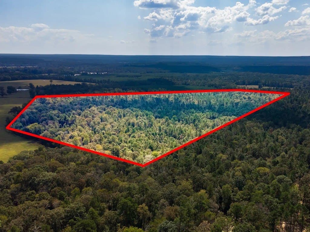 83.5 acres in Texas County gallery image 2