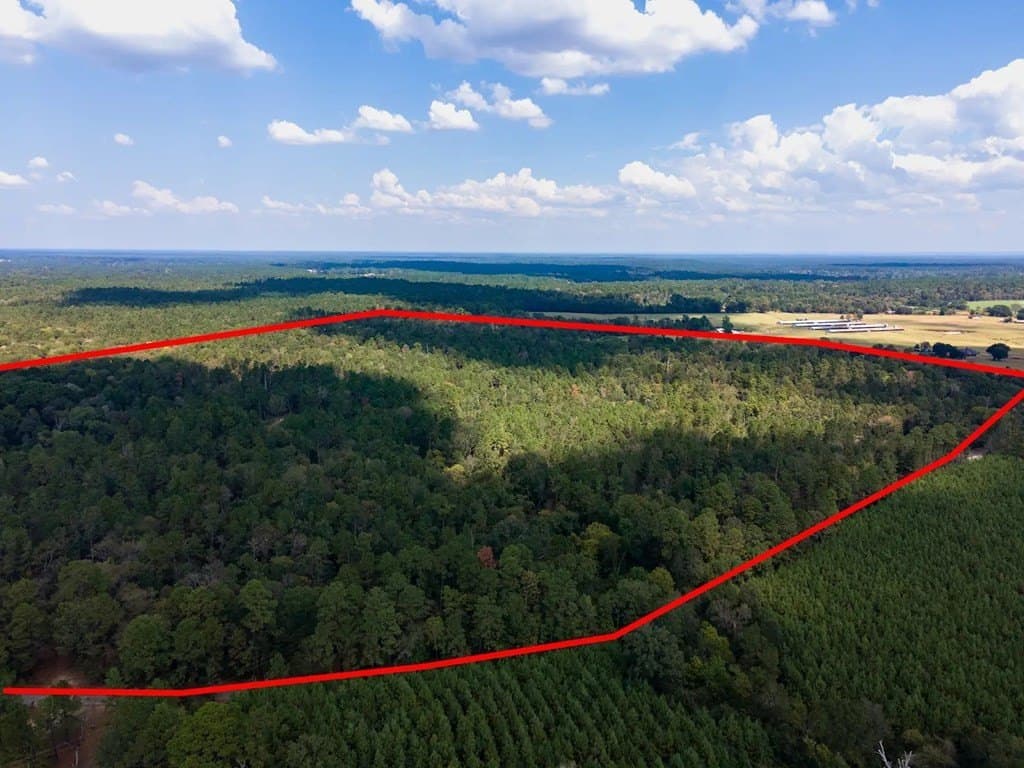 83.5 acres in Texas County gallery image 4